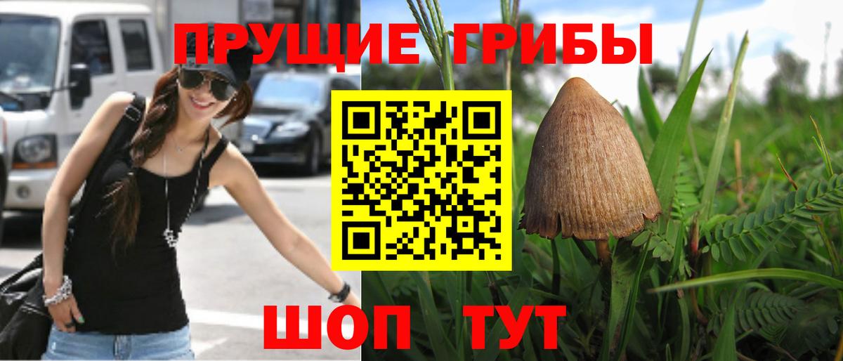 купить наркотики цена  Вход с VPN  Кохма  Псилоцибиновые грибы мицелий 