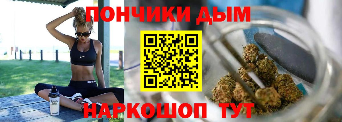 Конопля гибрид Кохма